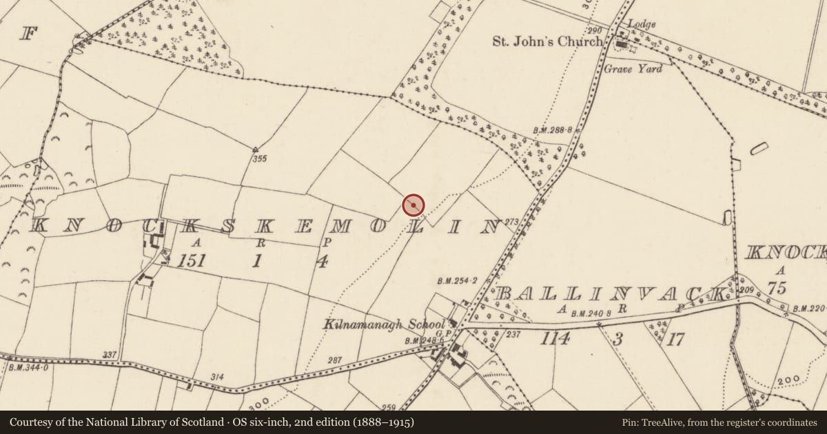 Ordnance Survey six-inch map, 2nd edition (1888–1915) covering the location of Enclosure, Knockskemolin, County Wexford, with a pin at the register's coordinates