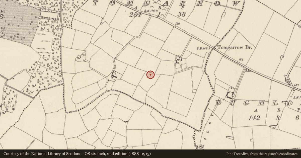 Ordnance Survey six-inch map, 2nd edition (1888–1915) covering the location of Enclosure, Tomgarrow, County Wexford, with a pin at the register's coordinates