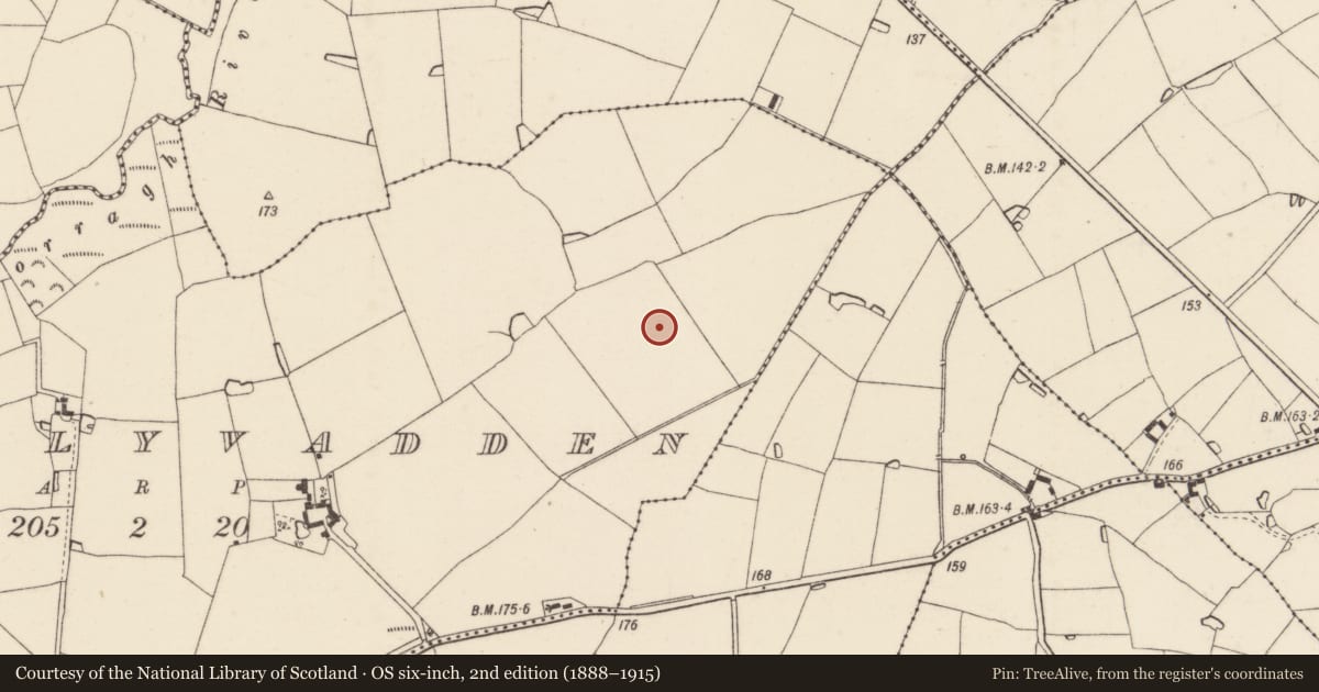 Ordnance Survey six-inch map, 2nd edition (1888–1915) covering the location of Enclosure, Ballyvadden, County Wexford, with a pin at the register's coordinates