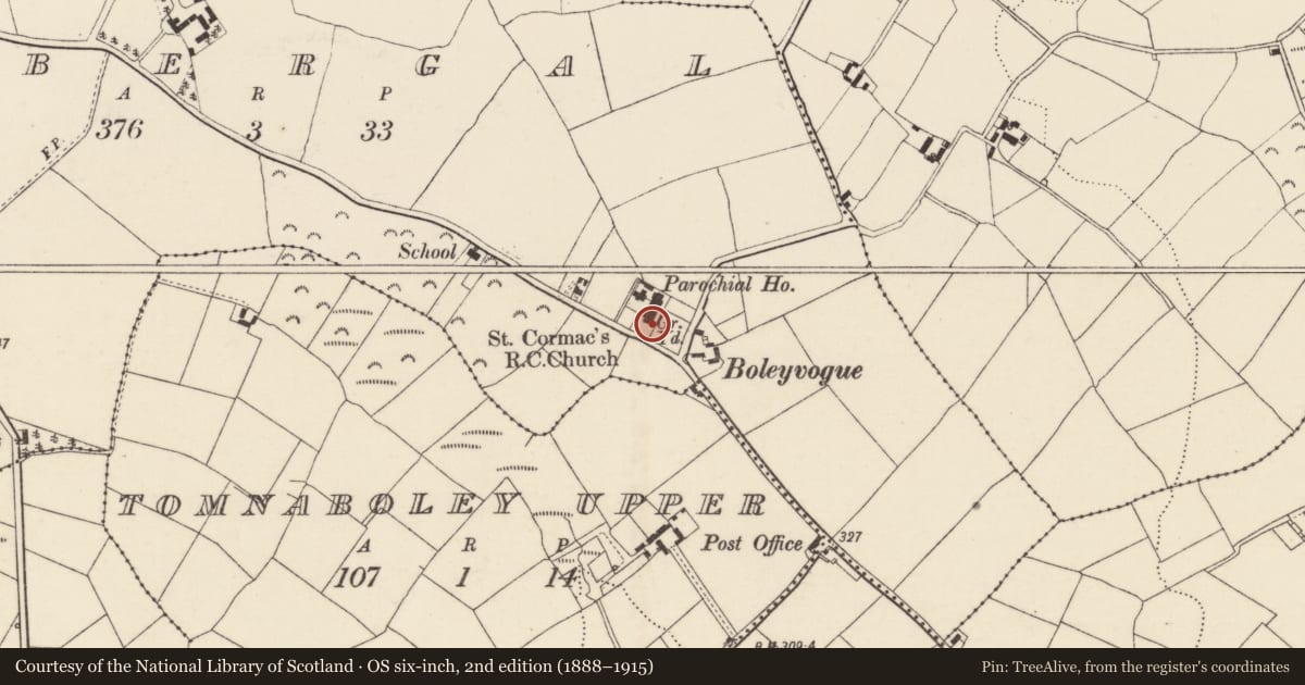 Ordnance Survey six-inch map, 2nd edition (1888–1915) covering the location of Bullaun stone (present location), Tobergal, County Wexford, with a pin at the register's coordinates