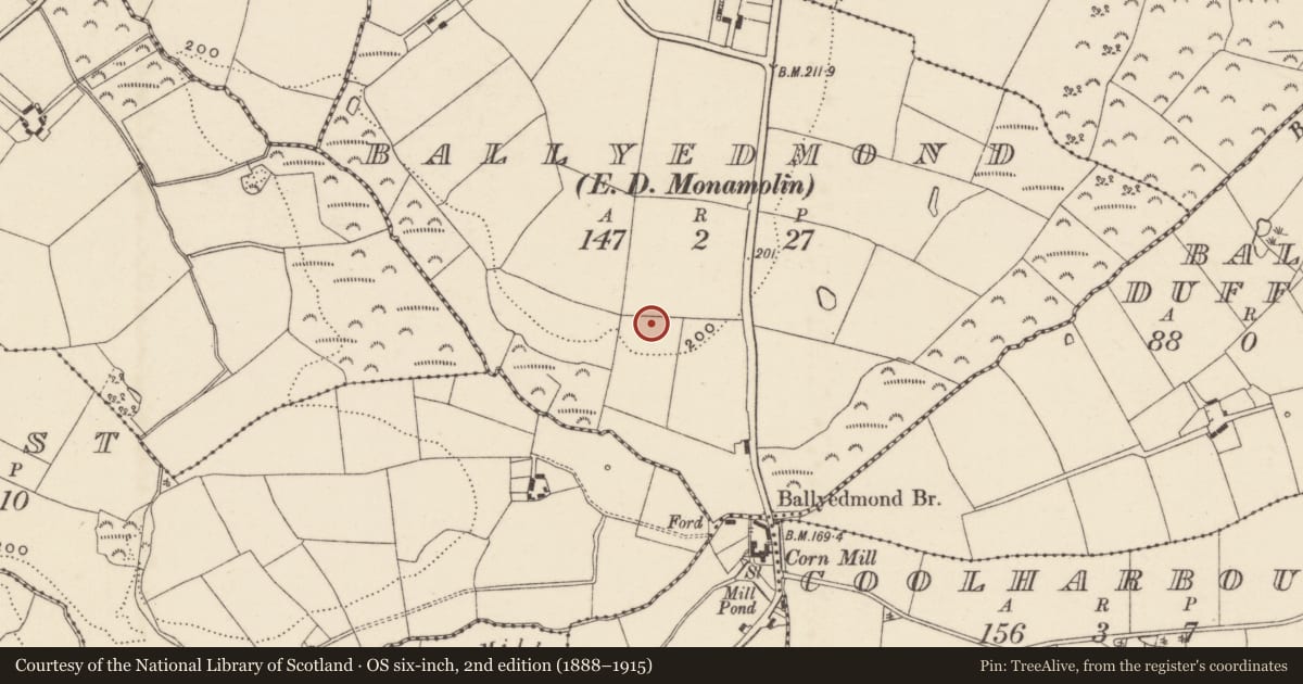 Ordnance Survey six-inch map, 2nd edition (1888–1915) covering the location of Enclosure - large enclosure, Ballyedmond, County Wexford, with a pin at the register's coordinates