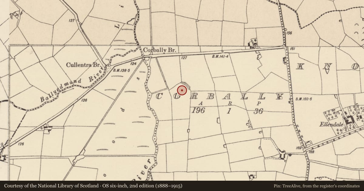 Ordnance Survey six-inch map, 2nd edition (1888–1915) covering the location of Ringfort - rath, Corbally, County Wexford, with a pin at the register's coordinates