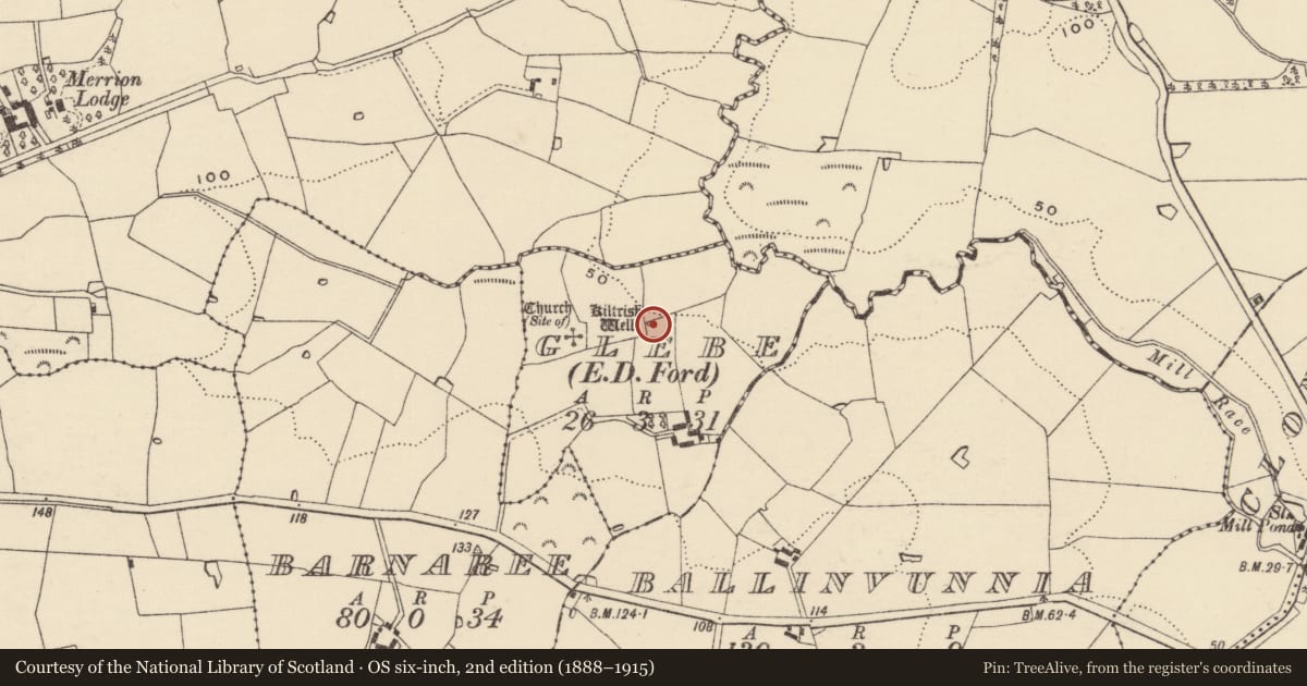 Ordnance Survey six-inch map, 2nd edition (1888–1915) covering the location of Ritual site - holy well, Glebe, County Wexford, with a pin at the register's coordinates