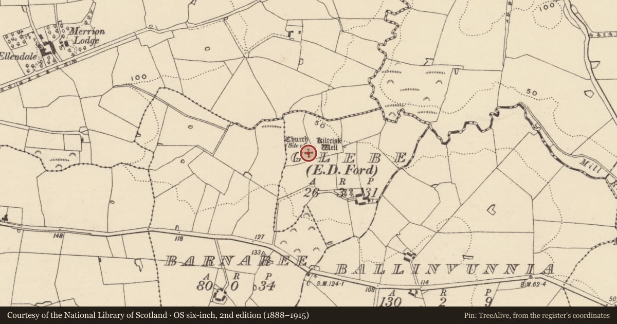 Ordnance Survey six-inch map, 2nd edition (1888–1915) covering the location of Graveyard, Glebe, County Wexford, with a pin at the register's coordinates