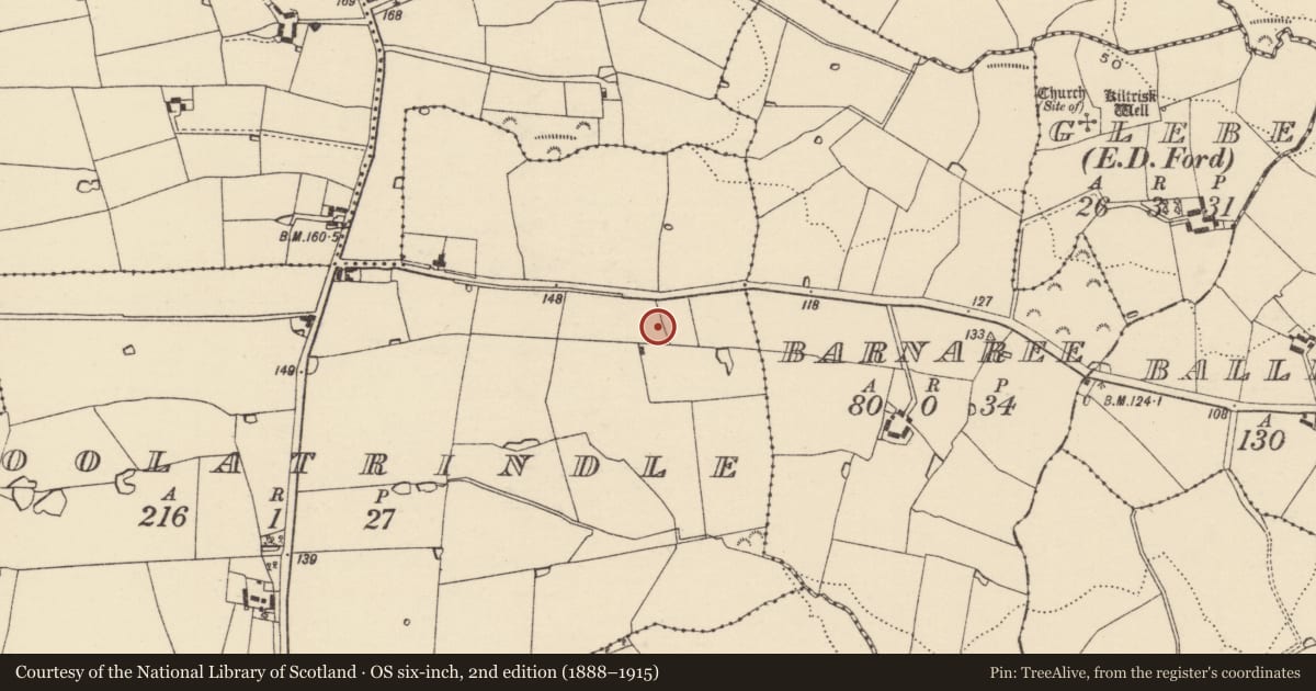 Ordnance Survey six-inch map, 2nd edition (1888–1915) covering the location of Ringfort - unclassified, Coolatrindle, County Wexford, with a pin at the register's coordinates