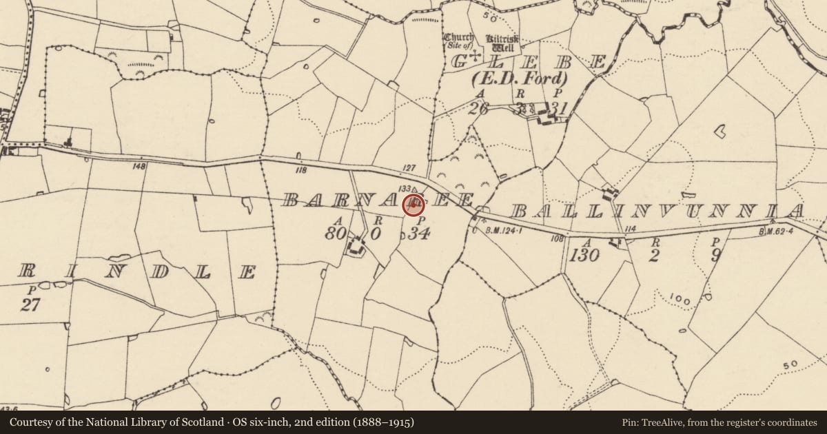 Ordnance Survey six-inch map, 2nd edition (1888–1915) covering the location of Castle - motte, Barnaree, County Wexford, with a pin at the register's coordinates