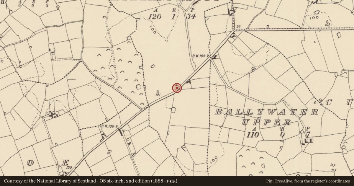 Ordnance Survey six-inch map, 2nd edition (1888–1915) covering the location of Cross, Killannaduff, County Wexford, with a pin at the register's coordinates
