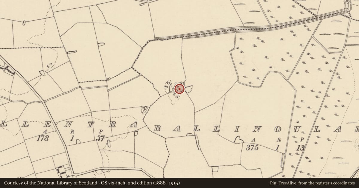 Ordnance Survey six-inch map, 2nd edition (1888–1915) covering the location of Moated site, Ballinoulart, County Wexford, with a pin at the register's coordinates