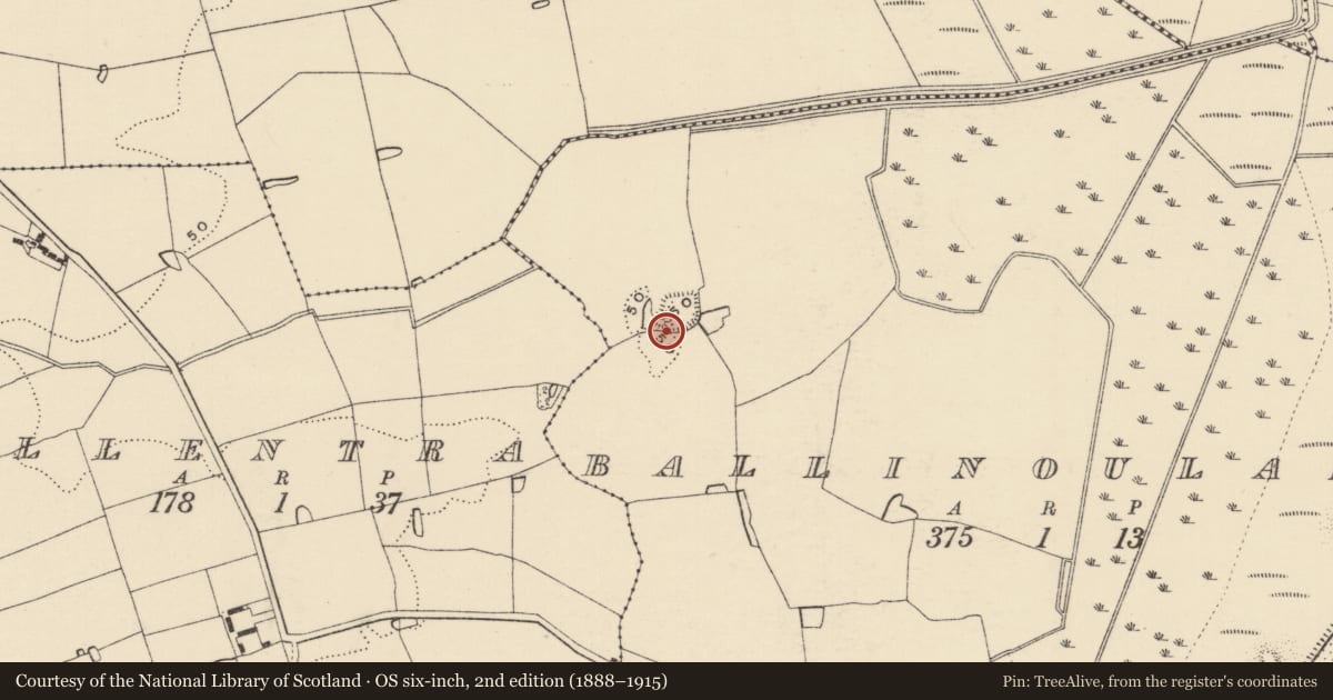 Ordnance Survey six-inch map, 2nd edition (1888–1915) covering the location of Mound, Ballinoulart, County Wexford, with a pin at the register's coordinates