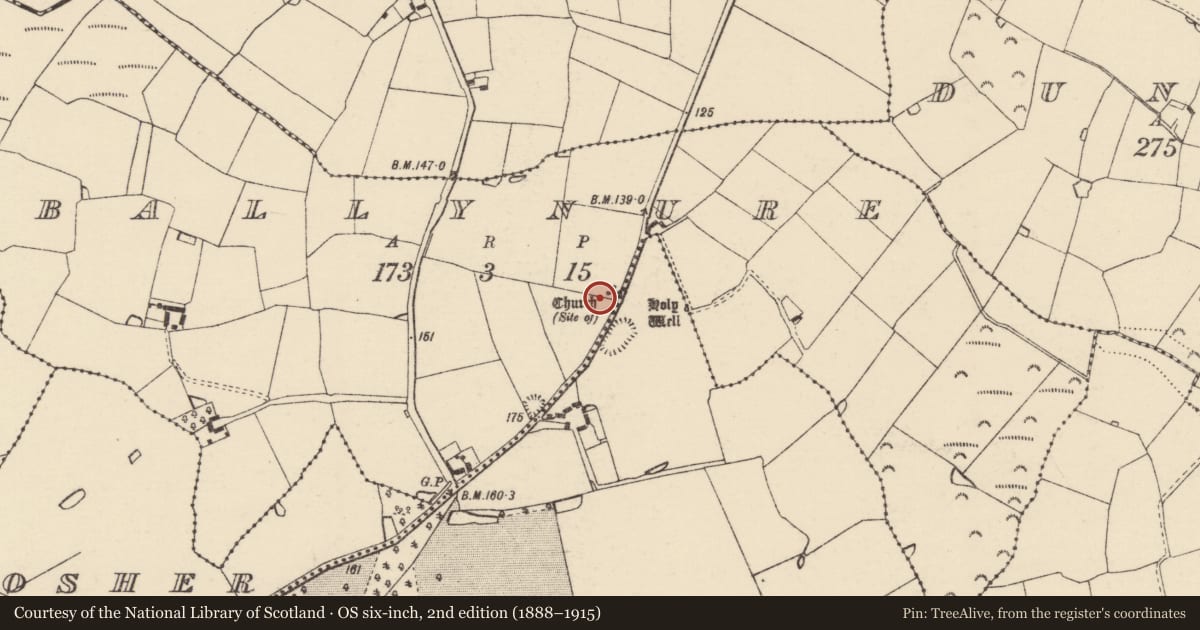 Ordnance Survey six-inch map, 2nd edition (1888–1915) covering the location of Church, Ballynure, County Wexford, with a pin at the register's coordinates