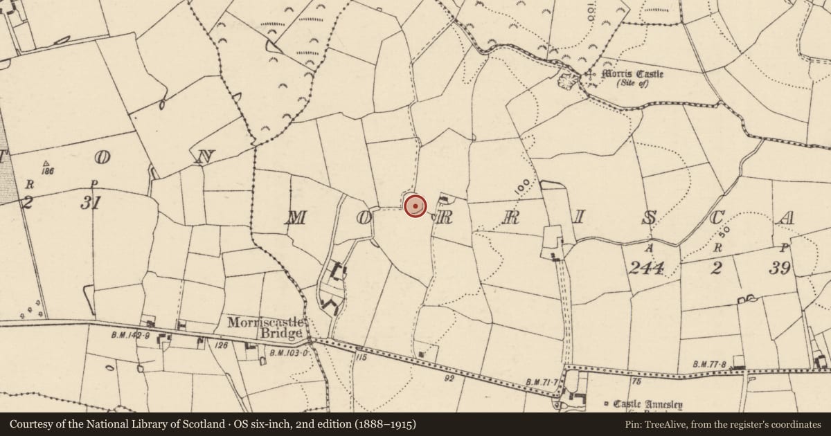 Ordnance Survey six-inch map, 2nd edition (1888–1915) covering the location of Ringfort - rath, Morriscastle, County Wexford, with a pin at the register's coordinates