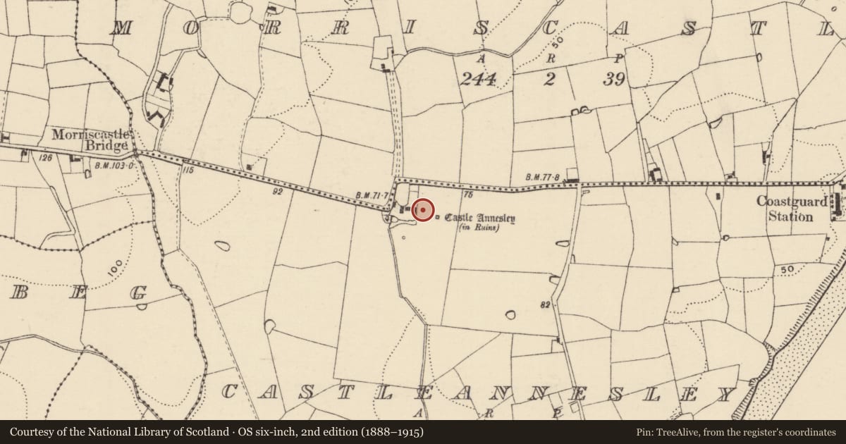 Ordnance Survey six-inch map, 2nd edition (1888–1915) covering the location of House - 17th century, Castleannesley, County Wexford, with a pin at the register's coordinates