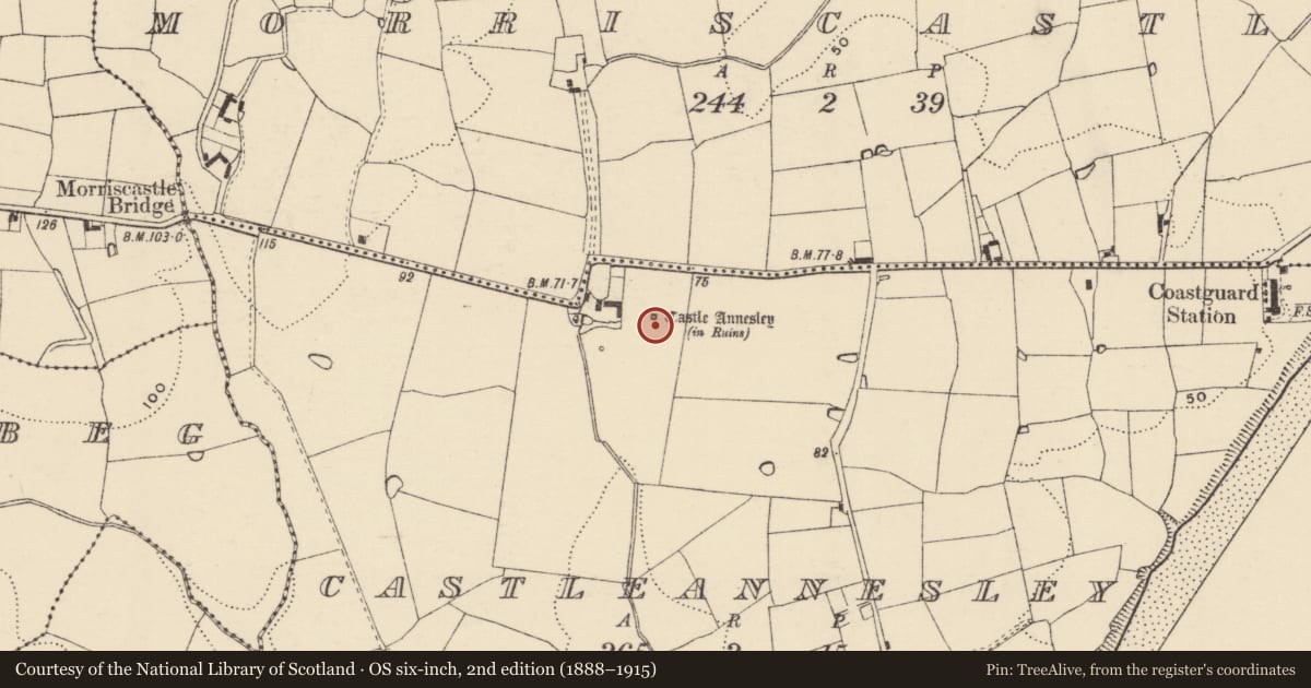 Ordnance Survey six-inch map, 2nd edition (1888–1915) covering the location of Bawn, Castleannesley, County Wexford, with a pin at the register's coordinates