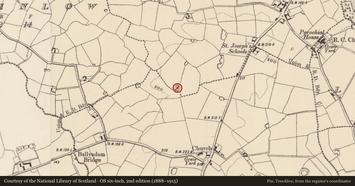Ordnance Survey six-inch map, 2nd edition (1888–1915) covering the location of Ringfort - rath, Ballygarran, County Wexford, with a pin at the register's coordinates