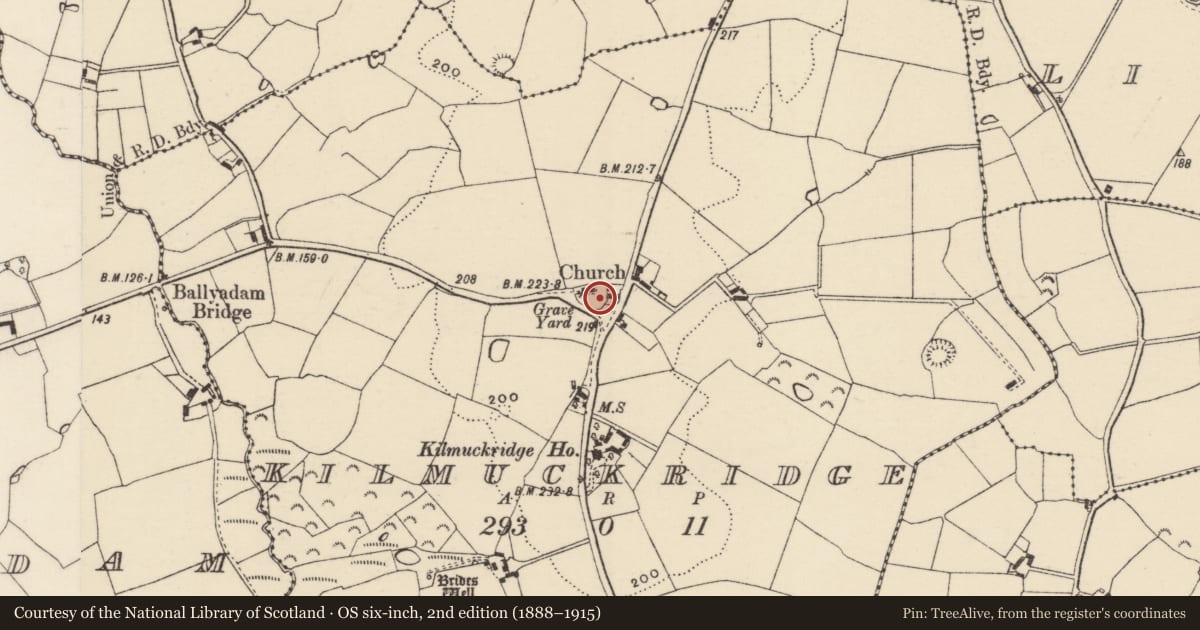Ordnance Survey six-inch map, 2nd edition (1888–1915) covering the location of Graveyard, Kilmuckridge, County Wexford, with a pin at the register's coordinates