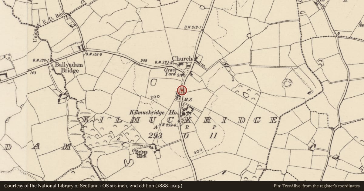 Ordnance Survey six-inch map, 2nd edition (1888–1915) covering the location of Cross, Kilmuckridge, County Wexford, with a pin at the register's coordinates