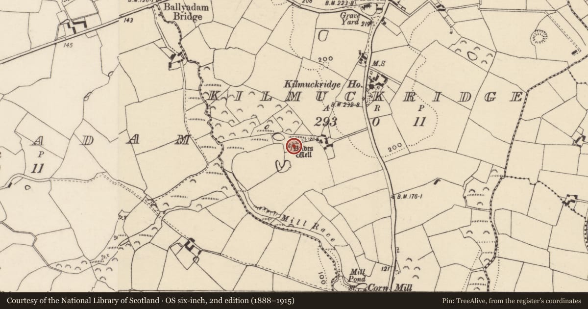 Ordnance Survey six-inch map, 2nd edition (1888–1915) covering the location of Ritual site - holy well, Kilmuckridge, County Wexford, with a pin at the register's coordinates