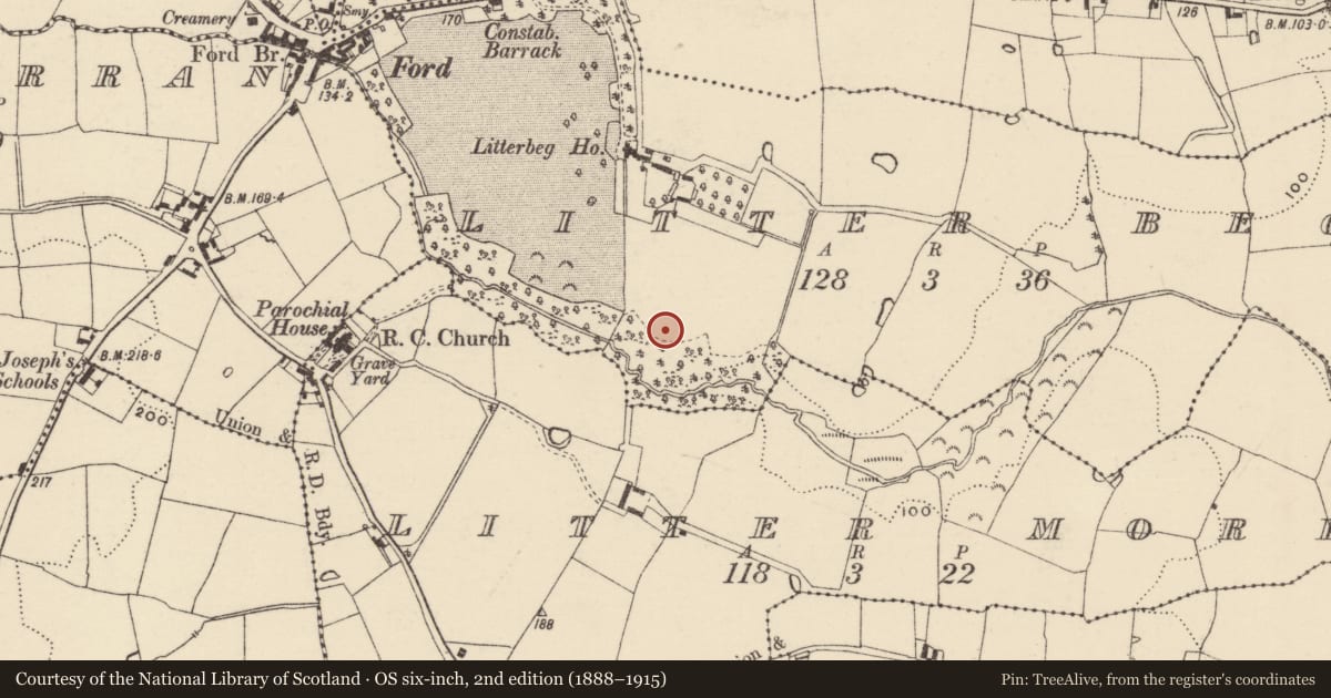 Ordnance Survey six-inch map, 2nd edition (1888–1915) covering the location of Ringfort - rath, Litter Beg, County Wexford, with a pin at the register's coordinates