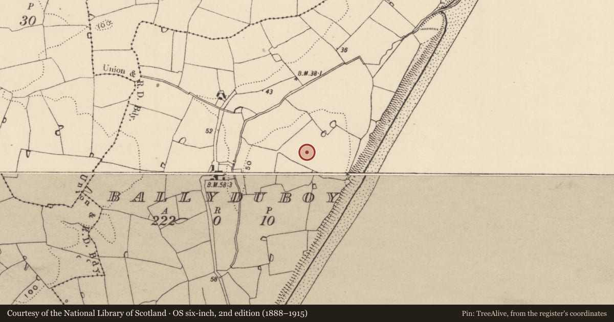 Ordnance Survey six-inch map, 2nd edition (1888–1915) covering the location of Moated site, Ballyduboy, County Wexford, with a pin at the register's coordinates