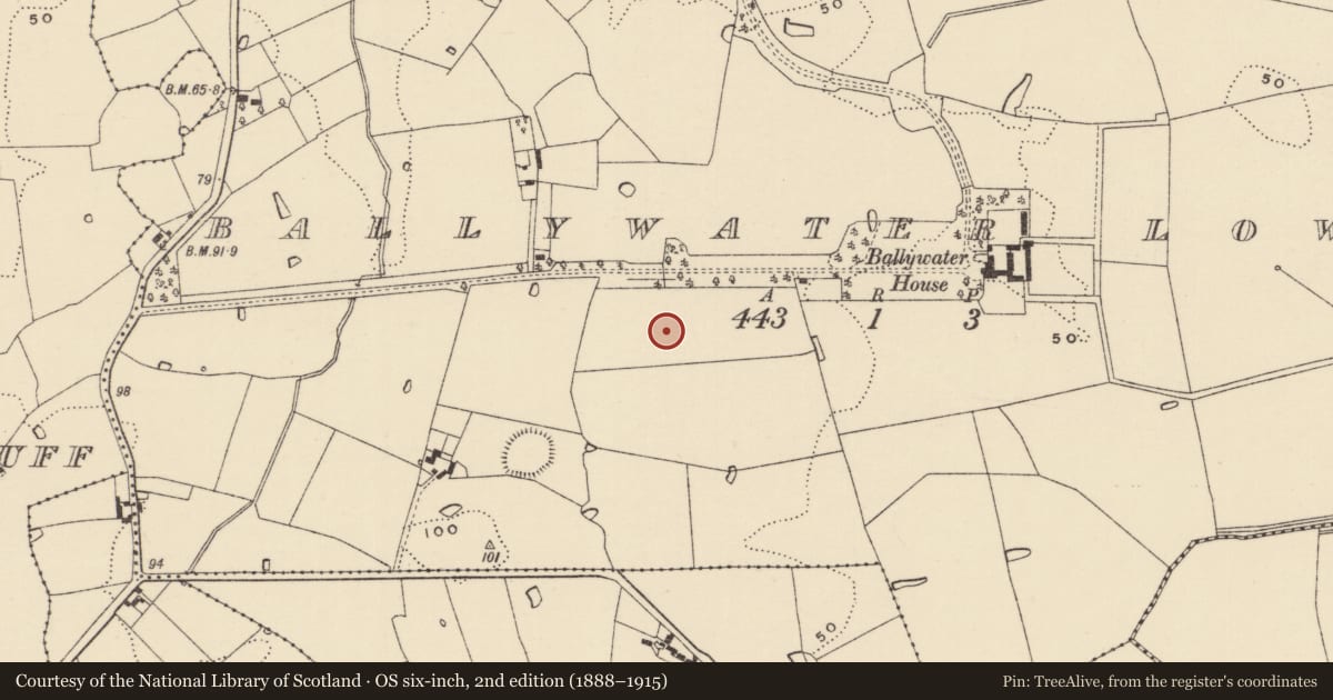 Ordnance Survey six-inch map, 2nd edition (1888–1915) covering the location of Burnt mound, Ballywater Lower, County Wexford, with a pin at the register's coordinates