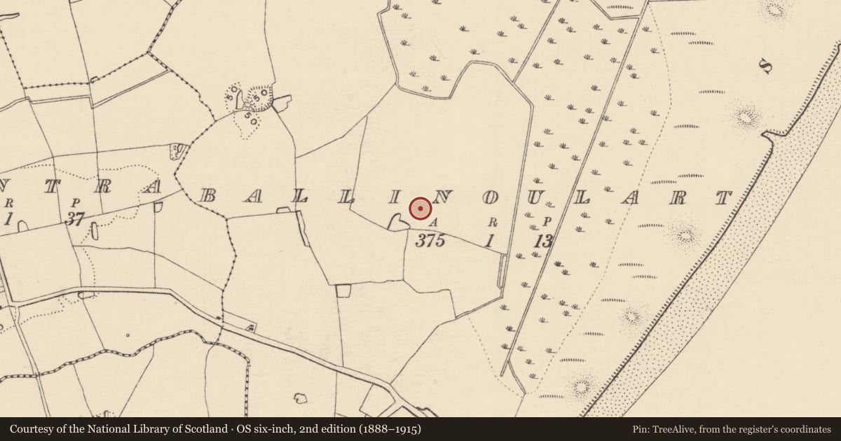 Ordnance Survey six-inch map, 2nd edition (1888–1915) covering the location of Excavation - miscellaneous, Ballinoulart, County Wexford, with a pin at the register's coordinates