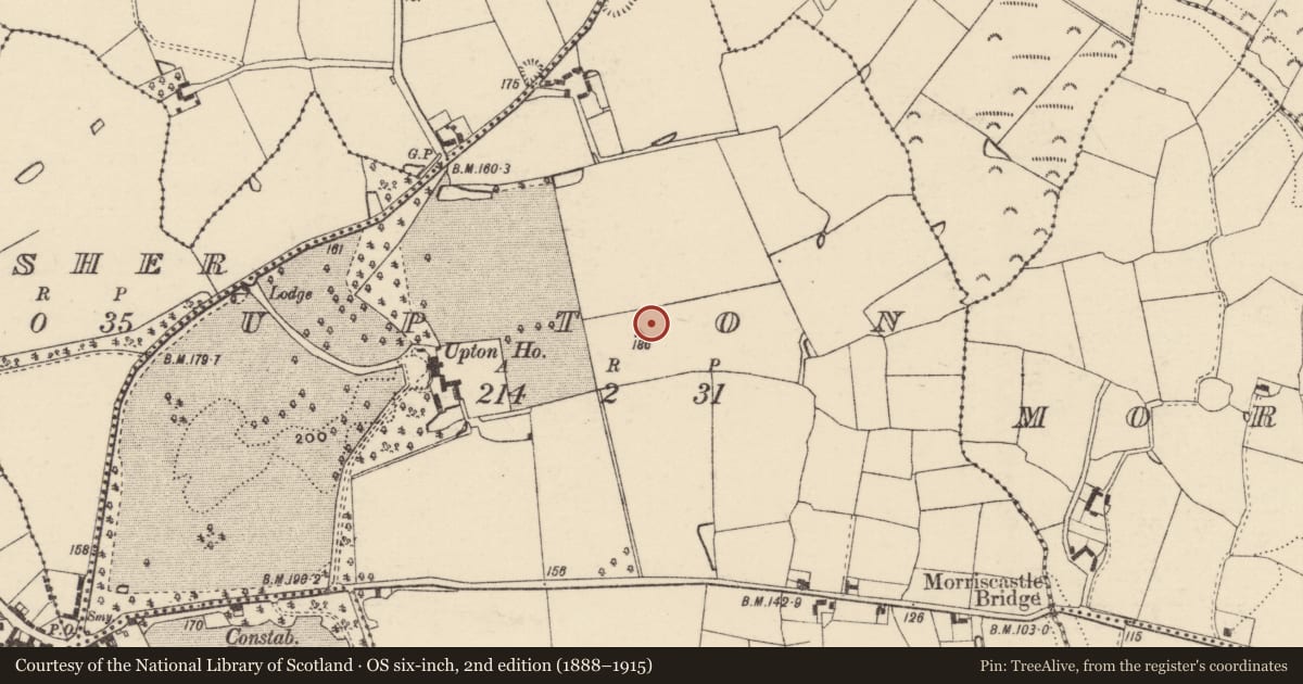 Ordnance Survey six-inch map, 2nd edition (1888–1915) covering the location of Ring-ditch, Upton, County Wexford, with a pin at the register's coordinates