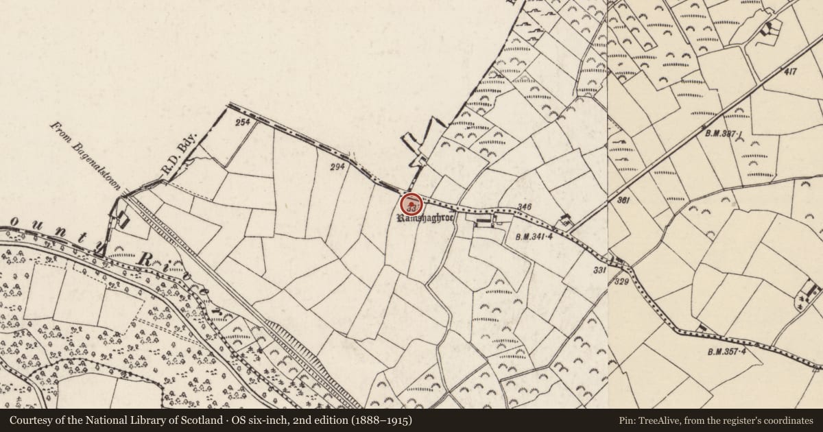 Ordnance Survey six-inch map, 2nd edition (1888–1915) covering the location of Standing stone, Curraun, County Wexford, with a pin at the register's coordinates