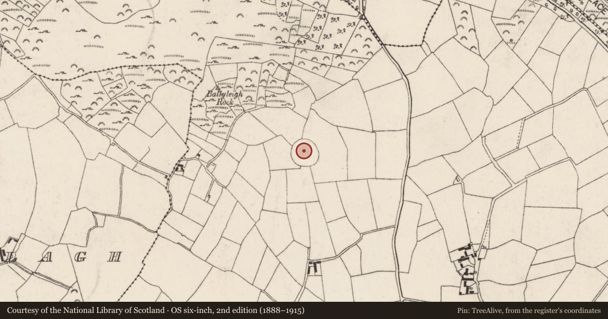 Ordnance Survey six-inch map, 2nd edition (1888–1915) covering the location of Hilltop enclosure, Ballyleigh, County Wexford, with a pin at the register's coordinates