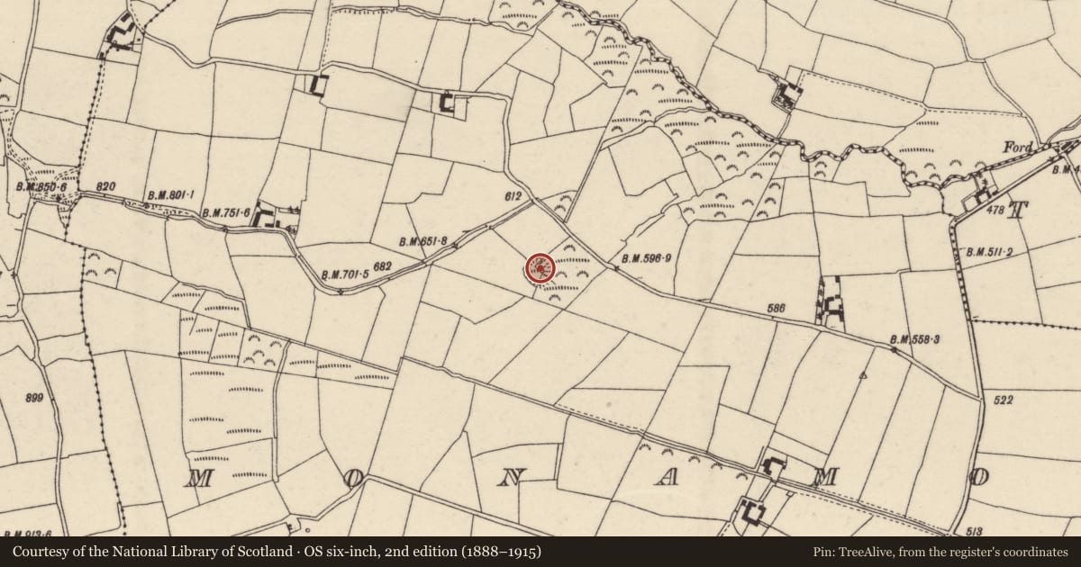 Ordnance Survey six-inch map, 2nd edition (1888–1915) covering the location of Ringfort - rath, Monamolin, County Wexford, with a pin at the register's coordinates