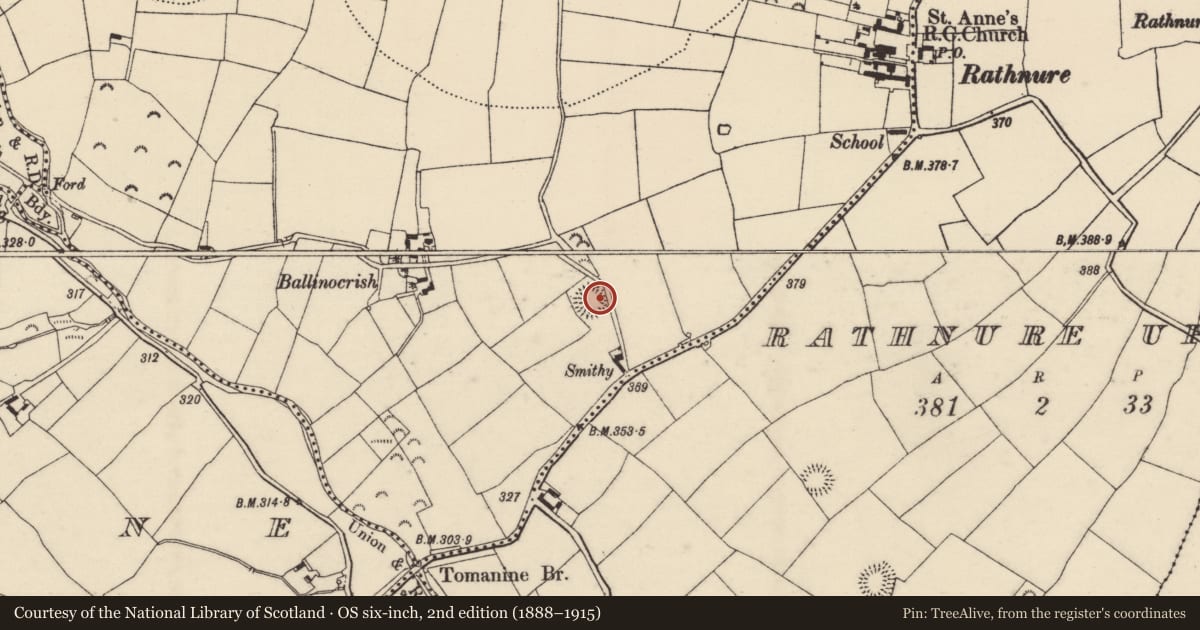 Ordnance Survey six-inch map, 2nd edition (1888–1915) covering the location of Ringfort - rath, Grange Upper, County Wexford, with a pin at the register's coordinates