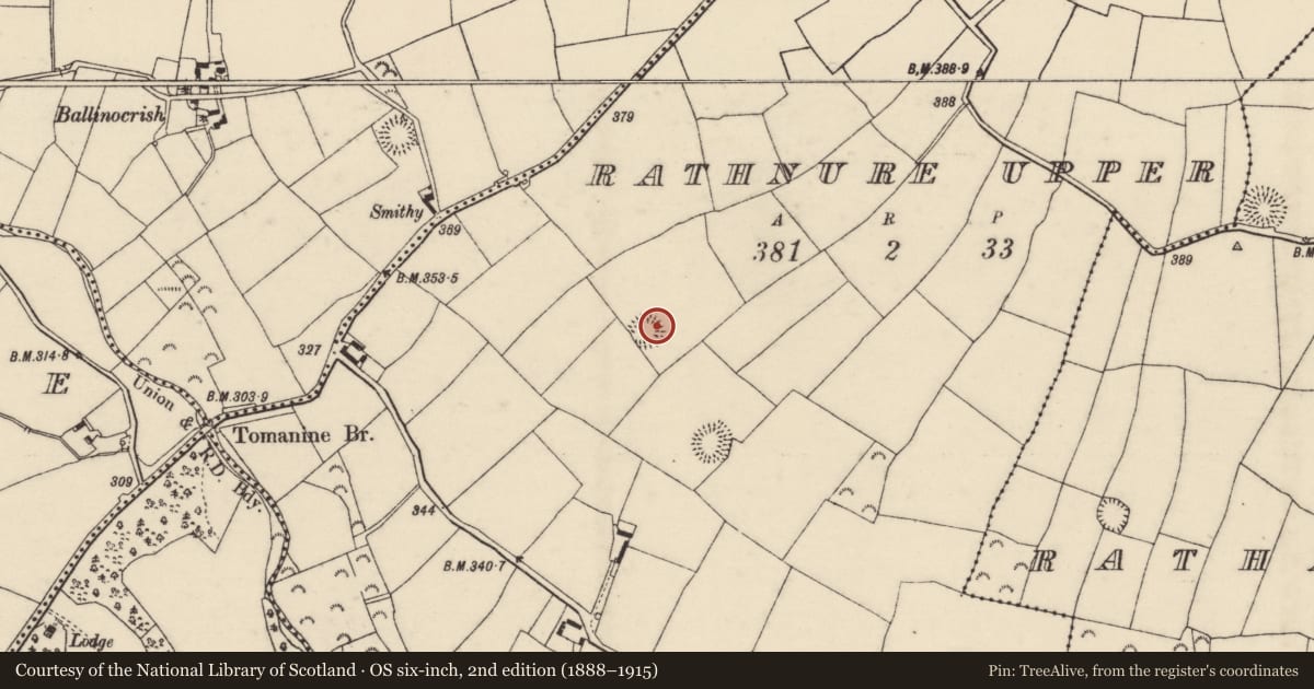 Ordnance Survey six-inch map, 2nd edition (1888–1915) covering the location of Ringfort - rath, Rathnure Upper, County Wexford, with a pin at the register's coordinates
