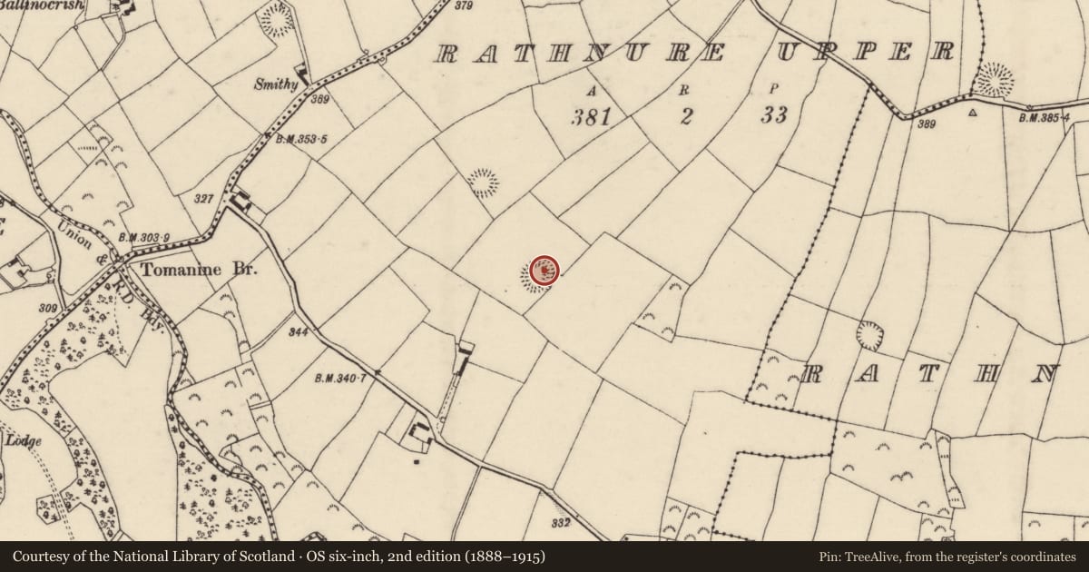 Ordnance Survey six-inch map, 2nd edition (1888–1915) covering the location of Ringfort - rath, Rathnure Upper, County Wexford, with a pin at the register's coordinates