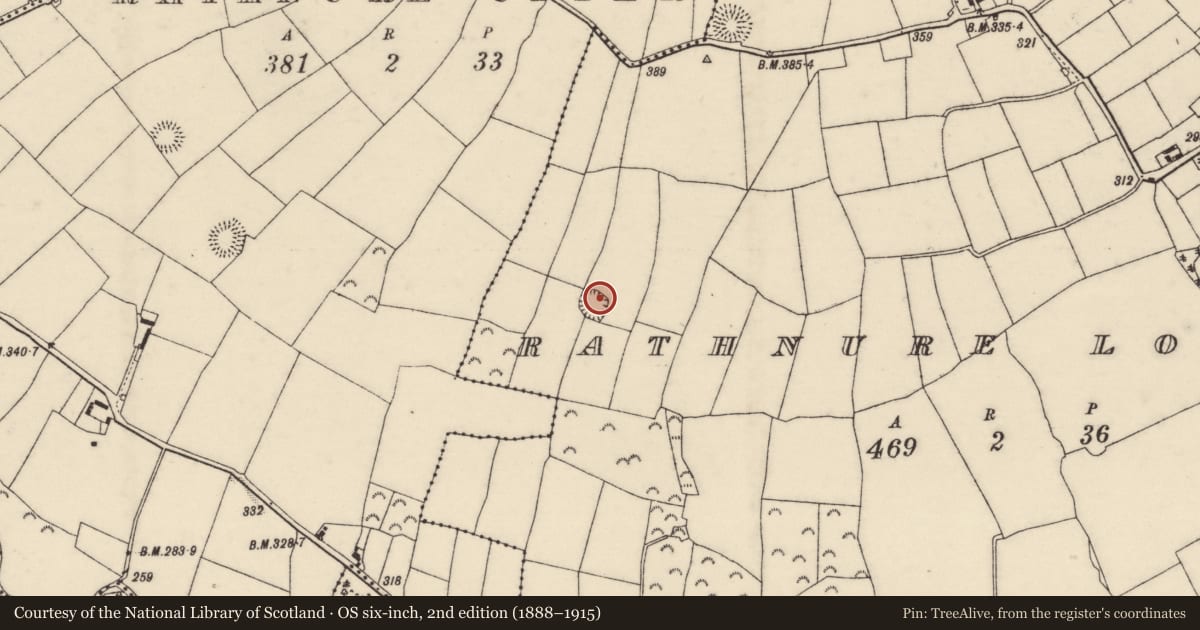Ordnance Survey six-inch map, 2nd edition (1888–1915) covering the location of Ringfort - unclassified, Rathnure Lower, County Wexford, with a pin at the register's coordinates