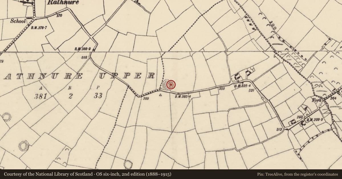 Ordnance Survey six-inch map, 2nd edition (1888–1915) covering the location of Ringfort - rath, Rathnure Lower, County Wexford, with a pin at the register's coordinates