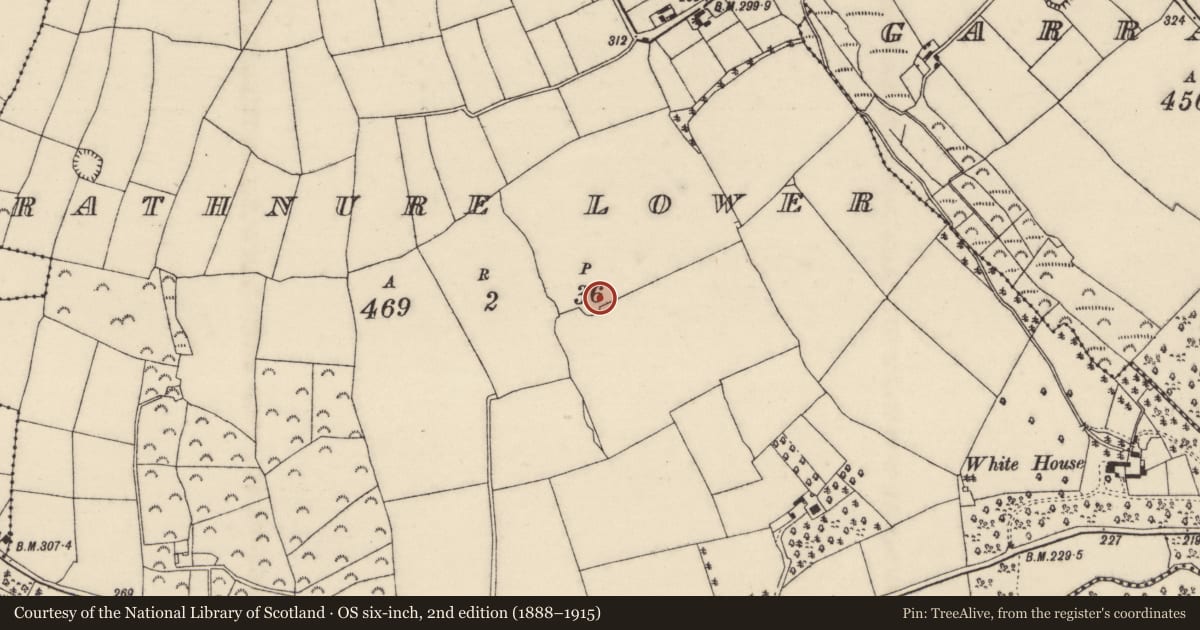 Ordnance Survey six-inch map, 2nd edition (1888–1915) covering the location of Ringfort - unclassified, Rathnure Lower, County Wexford, with a pin at the register's coordinates