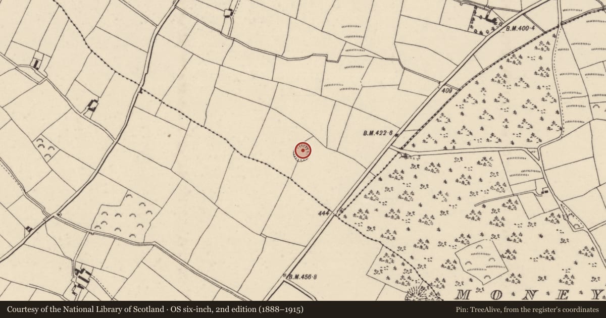 Ordnance Survey six-inch map, 2nd edition (1888–1915) covering the location of Ringfort - rath, Monamolin, County Wexford, with a pin at the register's coordinates