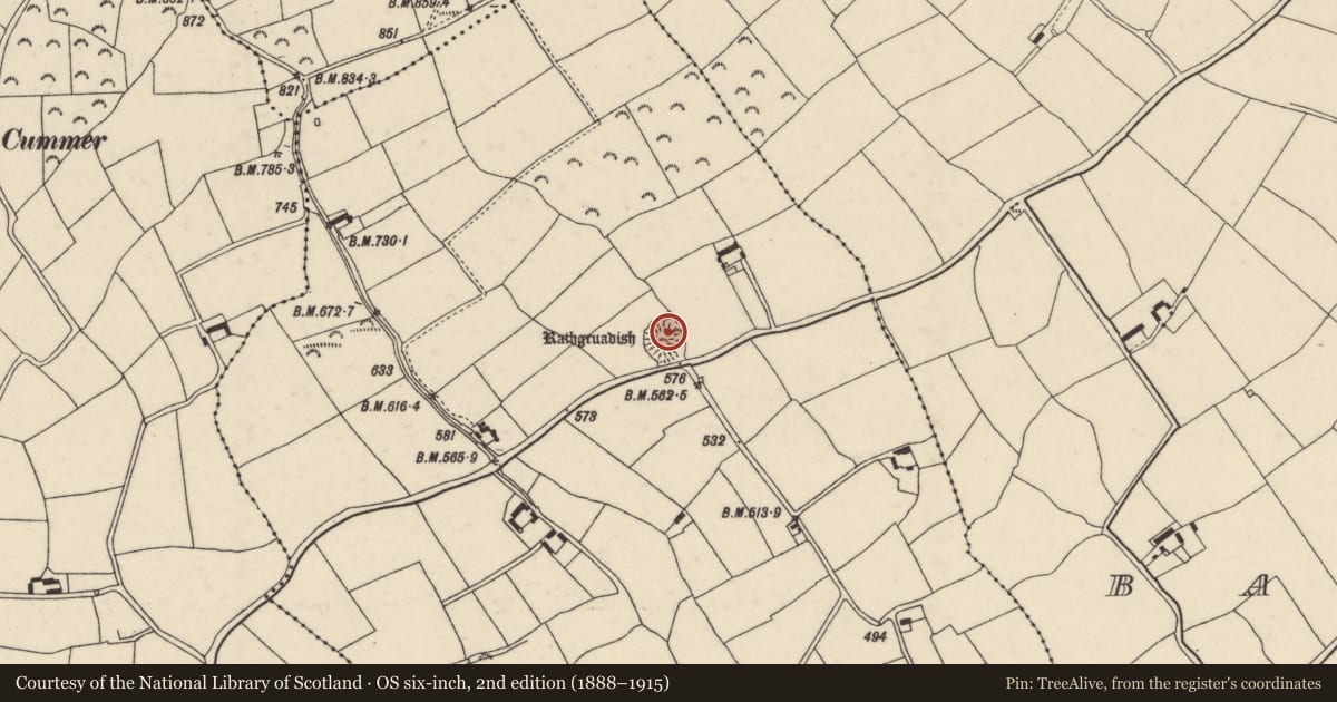 Ordnance Survey six-inch map, 2nd edition (1888–1915) covering the location of Ringfort - rath, Ballygalvert, County Wexford, with a pin at the register's coordinates