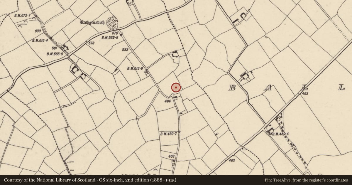 Ordnance Survey six-inch map, 2nd edition (1888–1915) covering the location of Ringfort - unclassified, Ballygalvert, County Wexford, with a pin at the register's coordinates