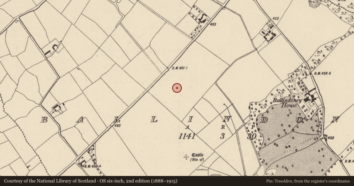 Ordnance Survey six-inch map, 2nd edition (1888–1915) covering the location of Enclosure, Ballindoney, County Wexford, with a pin at the register's coordinates
