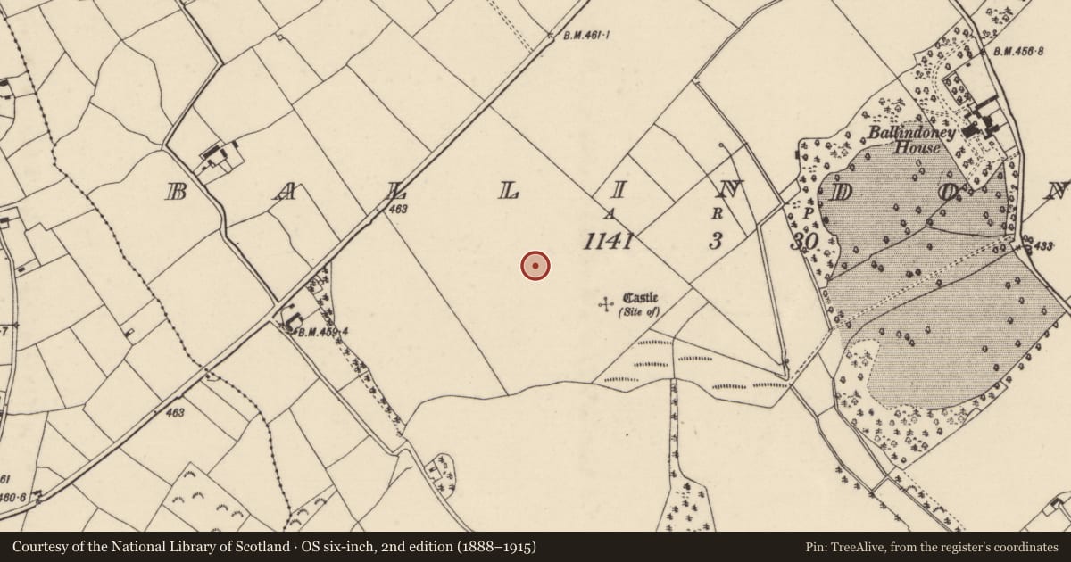 Ordnance Survey six-inch map, 2nd edition (1888–1915) covering the location of Ringfort - unclassified, Ballindoney, County Wexford, with a pin at the register's coordinates
