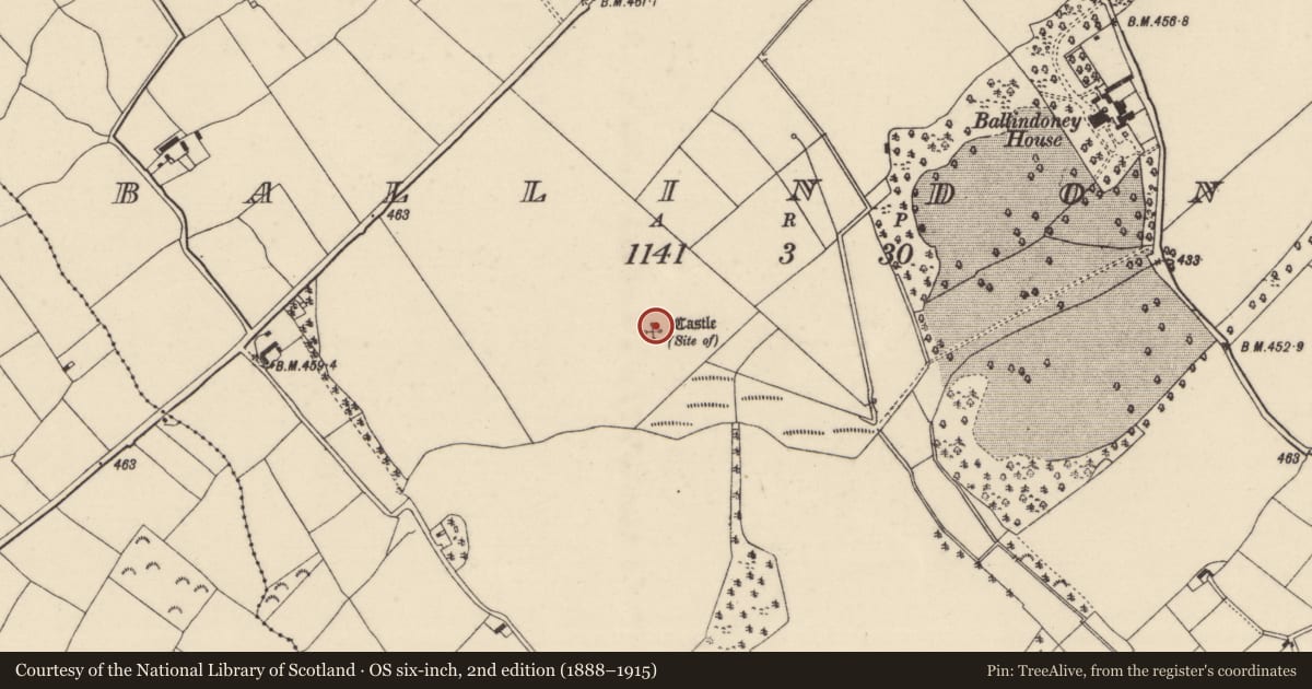 Ordnance Survey six-inch map, 2nd edition (1888–1915) covering the location of Castle - unclassified, Ballindoney, County Wexford, with a pin at the register's coordinates