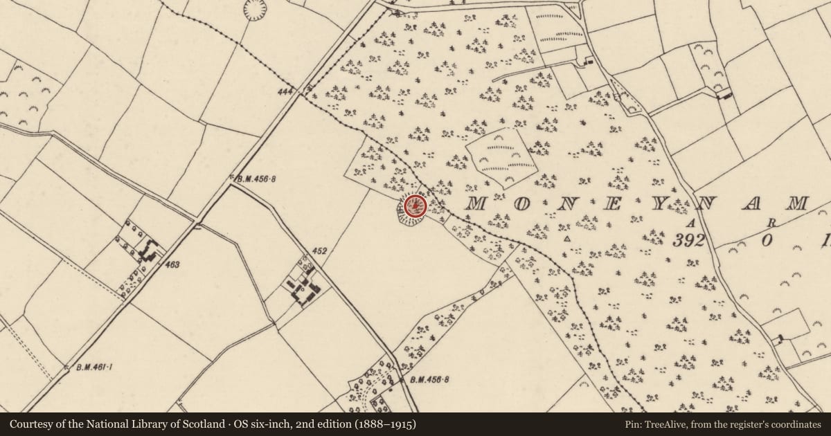 Ordnance Survey six-inch map, 2nd edition (1888–1915) covering the location of Ringfort - rath, Ballindoney, County Wexford, with a pin at the register's coordinates
