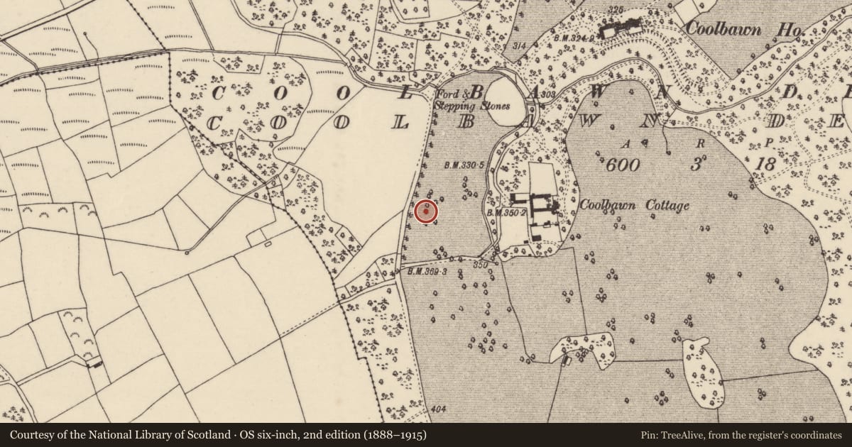 Ordnance Survey six-inch map, 2nd edition (1888–1915) covering the location of Ringfort - rath, Coolbawn Demesne, County Wexford, with a pin at the register's coordinates