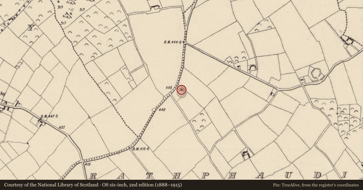 Ordnance Survey six-inch map, 2nd edition (1888–1915) covering the location of Ringfort - unclassified, Rathphaudin, County Wexford, with a pin at the register's coordinates