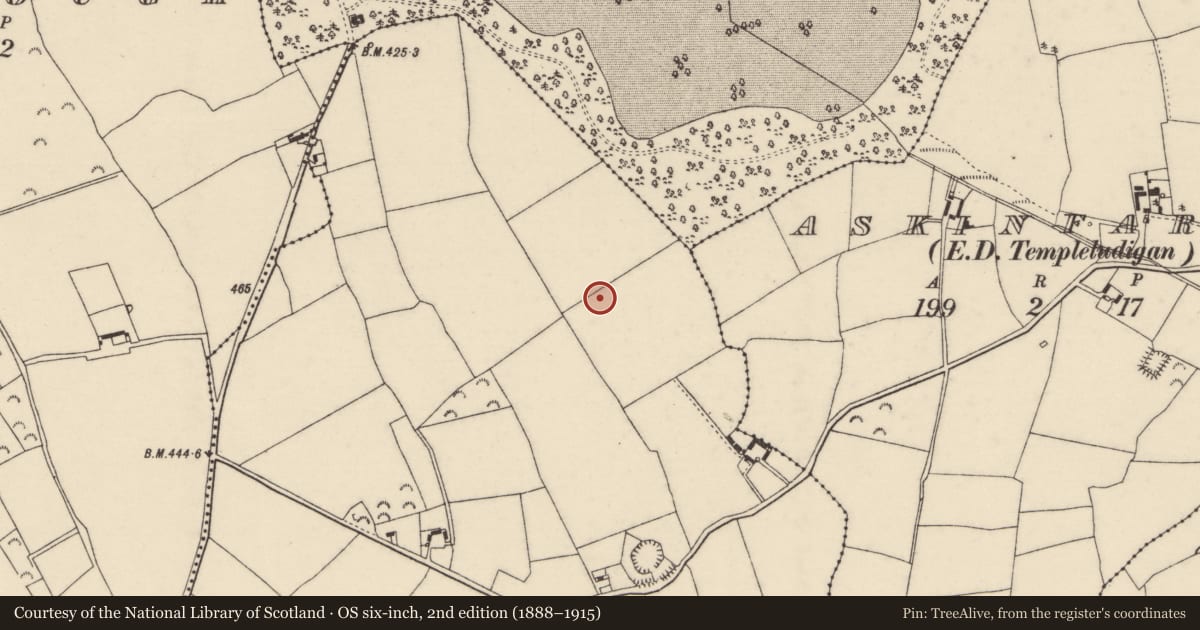 Ordnance Survey six-inch map, 2nd edition (1888–1915) covering the location of Ringfort - unclassified, Rathphaudin, County Wexford, with a pin at the register's coordinates