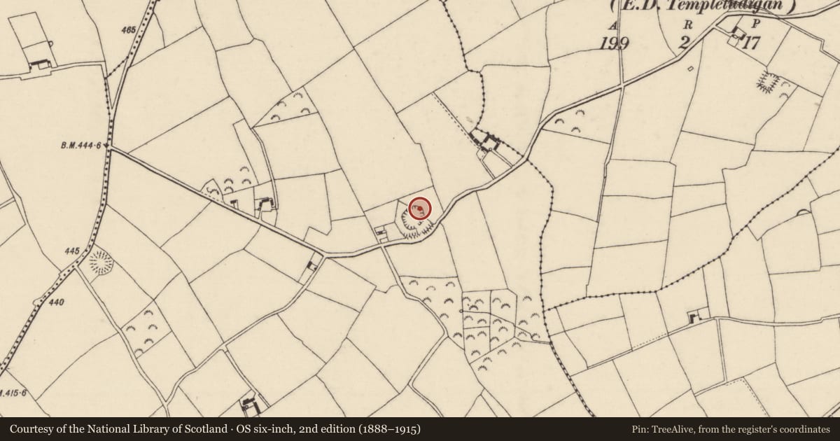 Ordnance Survey six-inch map, 2nd edition (1888–1915) covering the location of Ringfort - rath, Rathphaudin, County Wexford, with a pin at the register's coordinates