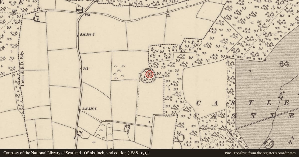 Ordnance Survey six-inch map, 2nd edition (1888–1915) covering the location of Ringfort - rath, Forrestalstown, County Wexford, with a pin at the register's coordinates