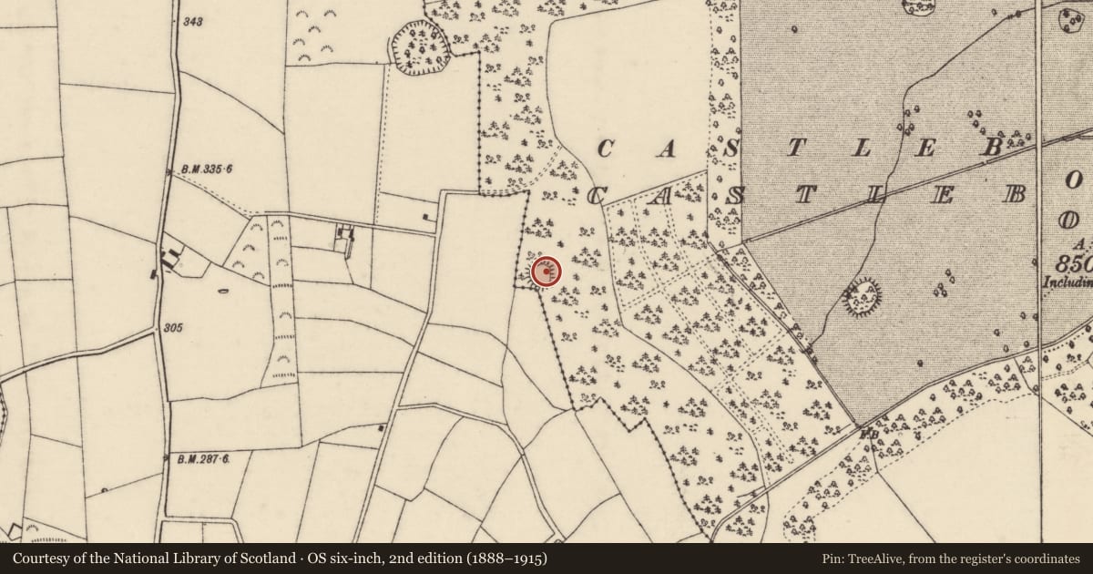 Ordnance Survey six-inch map, 2nd edition (1888–1915) covering the location of Ringfort - rath, Castleboro Demesne, County Wexford, with a pin at the register's coordinates