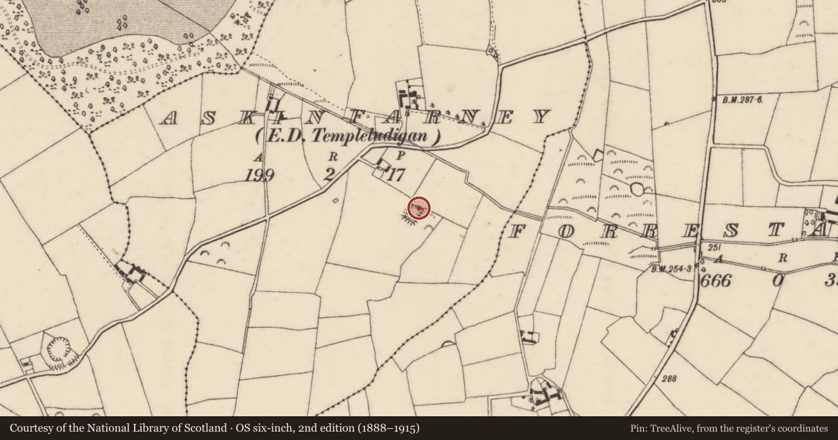 Ordnance Survey six-inch map, 2nd edition (1888–1915) covering the location of Moated site, Askinfarney, County Wexford, with a pin at the register's coordinates