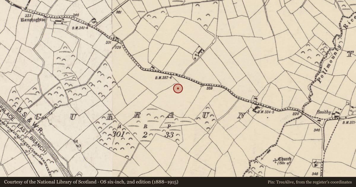 Ordnance Survey six-inch map, 2nd edition (1888–1915) covering the location of Ringfort - unclassified, Curraun, County Wexford, with a pin at the register's coordinates
